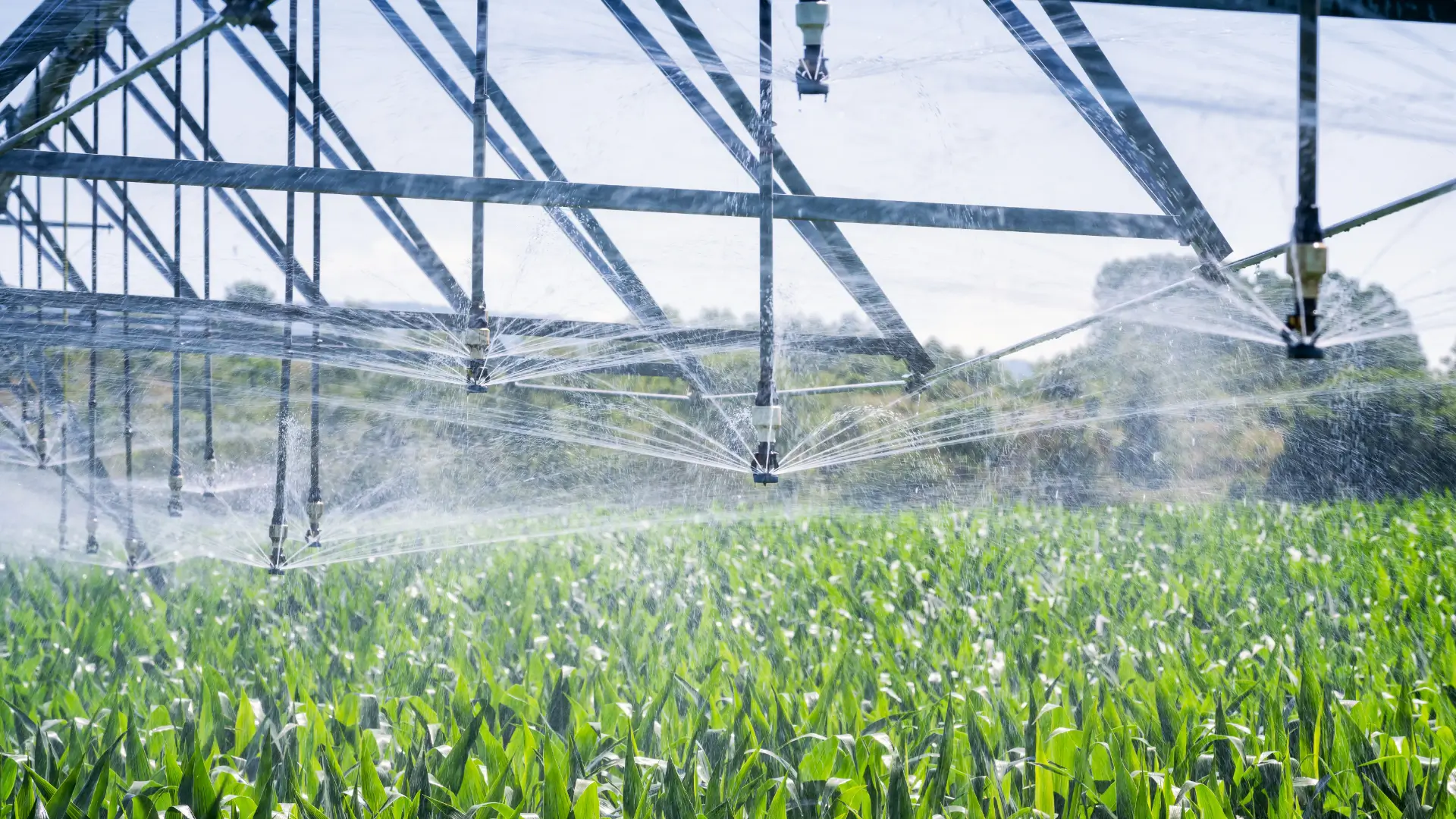 Using the WaterScope IoT system for precise irrigation monitoring