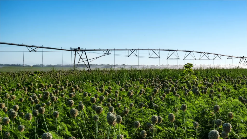 Smart Water Usage Monitoring in Small Communities